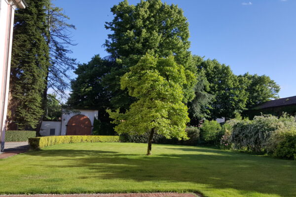 giardino fronte2